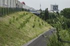 Steile Hangbepflanzung an der Schnettkerbrücke über dem Emschertal. <p>