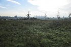 Blick über eine Ausgleichsfläche auf das BVB-Stadion und den Florianturm von Dortmund. <p>