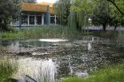 Vorhandene Teiche können einen Teil des anfallenden Regenwassers aufnehmen. <p>