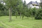 Über ein Muldensystem fließt das Regenwasser zum tiefsten Punkt des Geländes. <p>