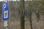 Wildkirsche mit Faulhöhle südlich Elsa-Brandström-Str. im Bereich der geplanten Parkplätze