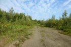 Bahnbrache mit Pioniergebüsch und Ruderalvegetation