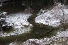 Leicht mäandrierender Abschnitt der Halver mit angrenzenden Feuchtflächen.