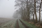 Wirtschaftsweg entlang am Rande der Trasse