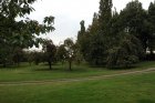 Streuobtwiesen und ein alter Baumbestand bieten einen Lebensraum für Feldsperling und Kleinspecht.