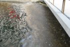 An einer schwimmende Sperre sind die Verschmutzungen deutlich zu erkennen
