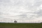 Blick von einem Wirtschaftsweg in südliche Richtung auf den Windpark in Linnich (Entfernung ca. 1 km)